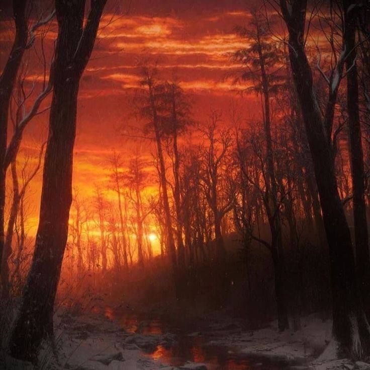 snowy forest at sunset