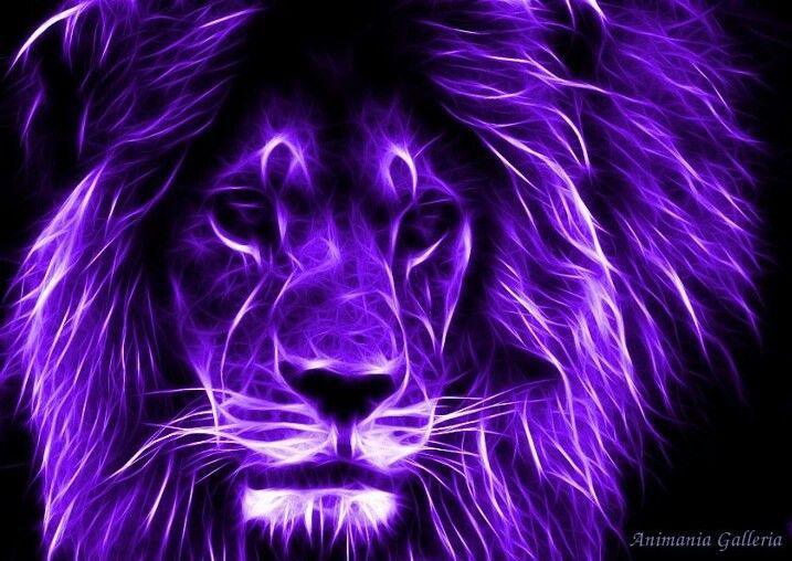 Purple Lion