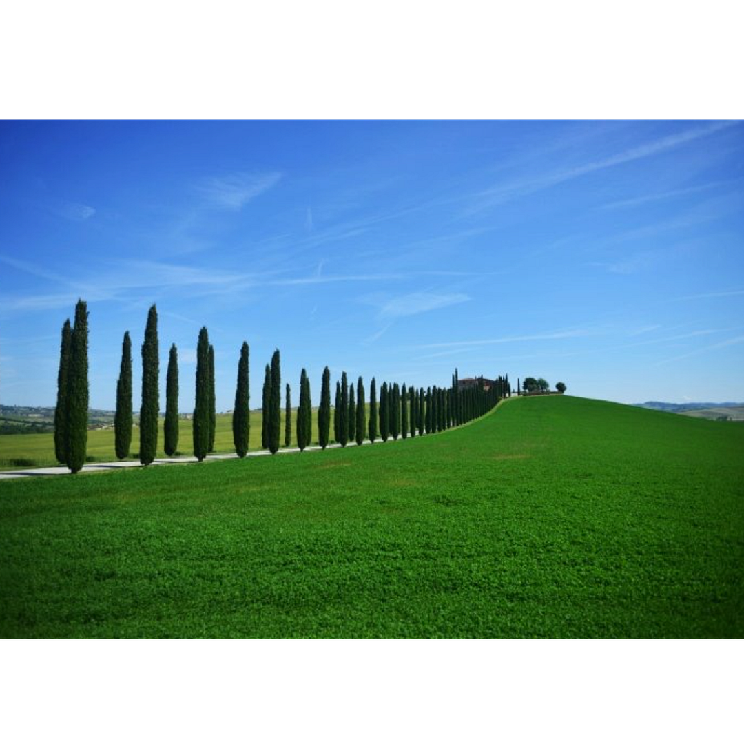 Toscana