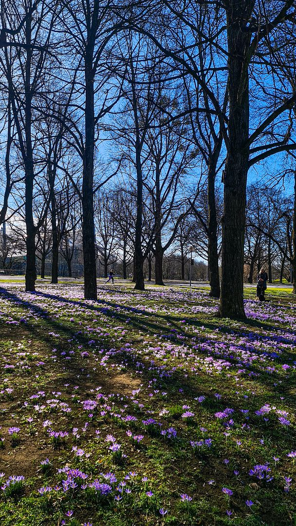 Early spring