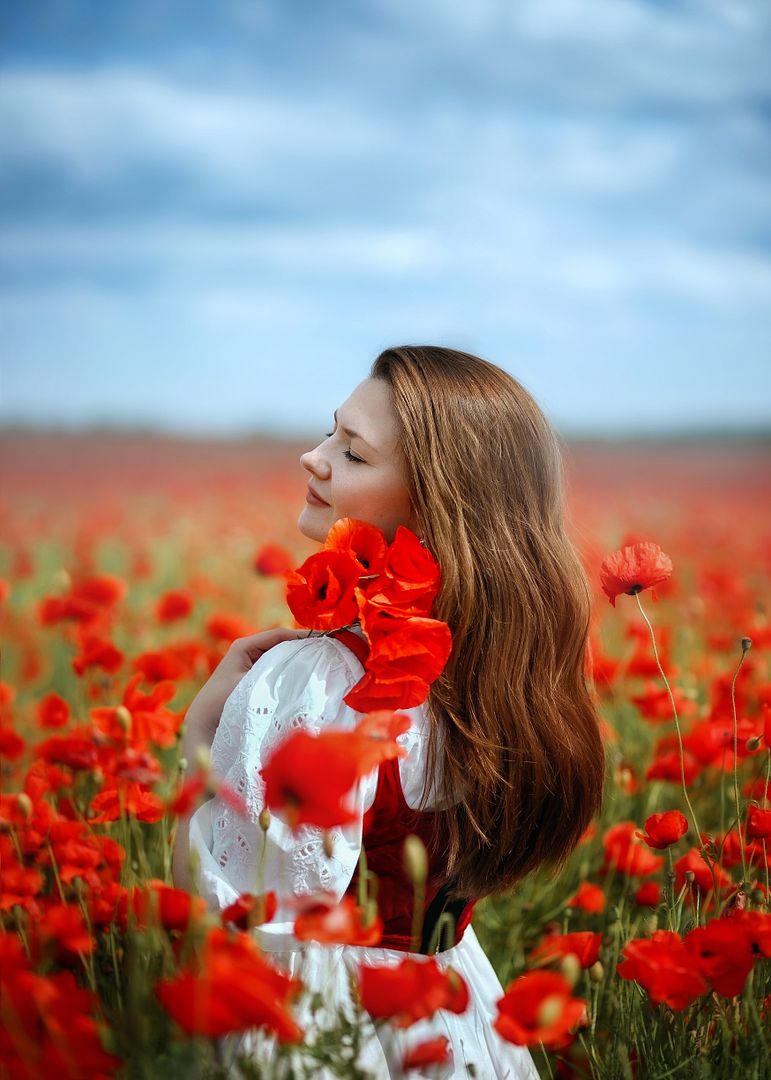 Poppies