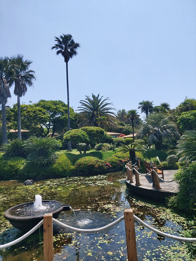 Beautiful Jeju Island Garden