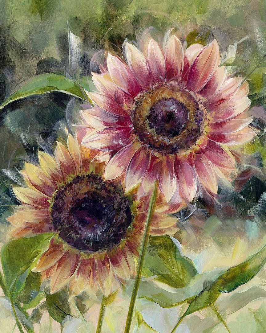 Ruby Eclipse sunflowers