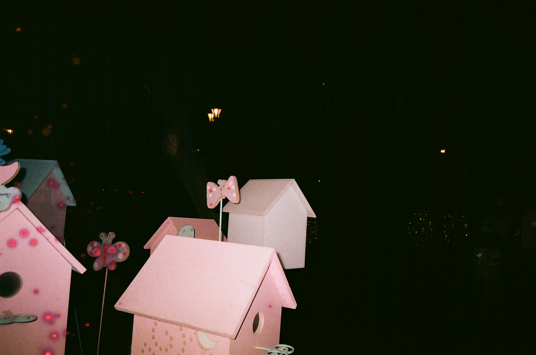 birdhome