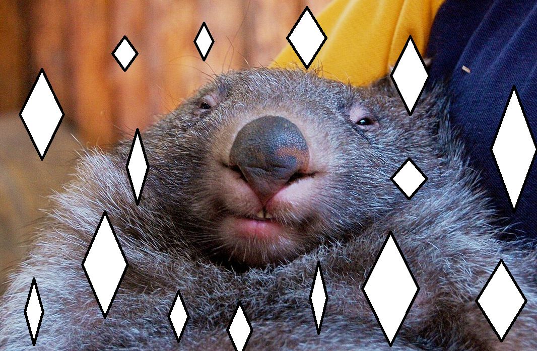 Wombatus the one