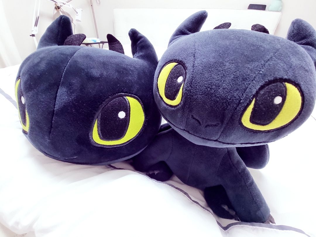 Dooly's favorite Toothless doll