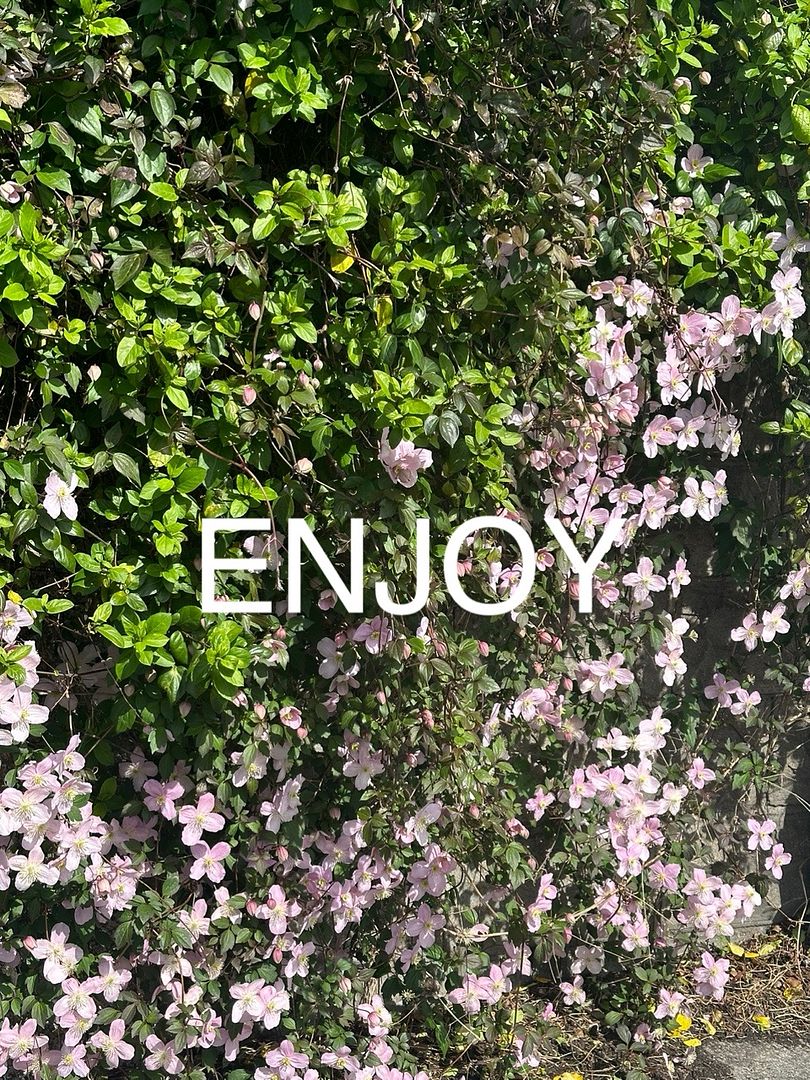 Enjoy Life #11