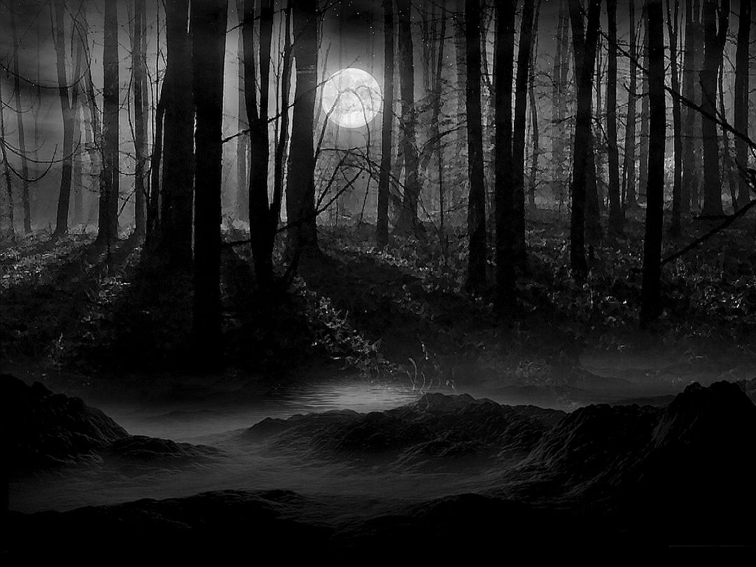 dark forest