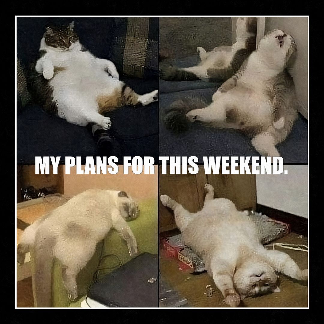 MY PLANS FOR THIS WEEKEND.