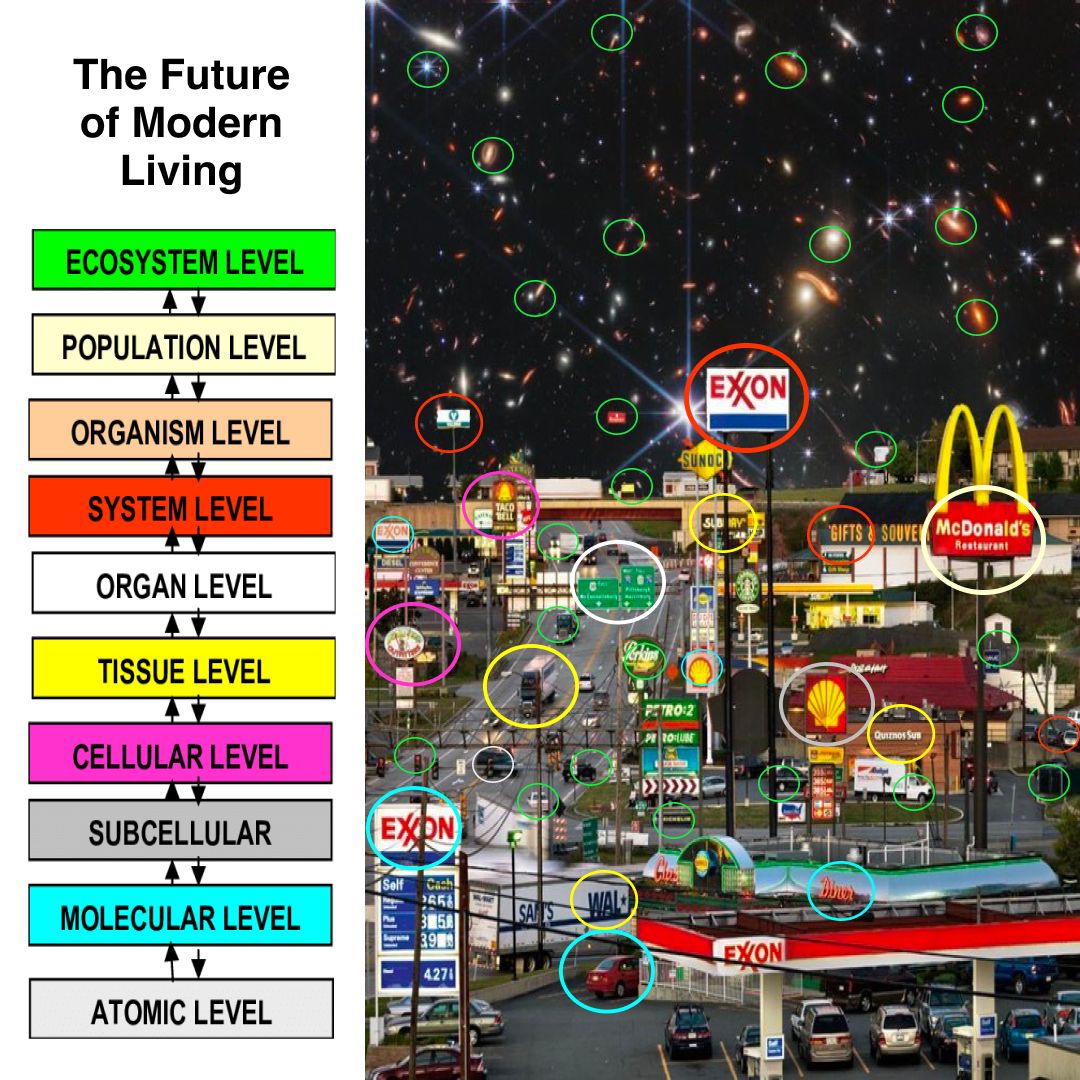 the future of modern living