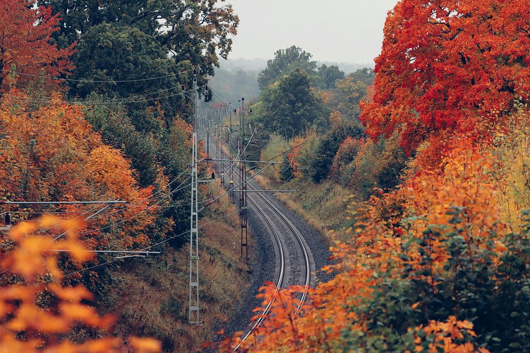 Autumn Railway