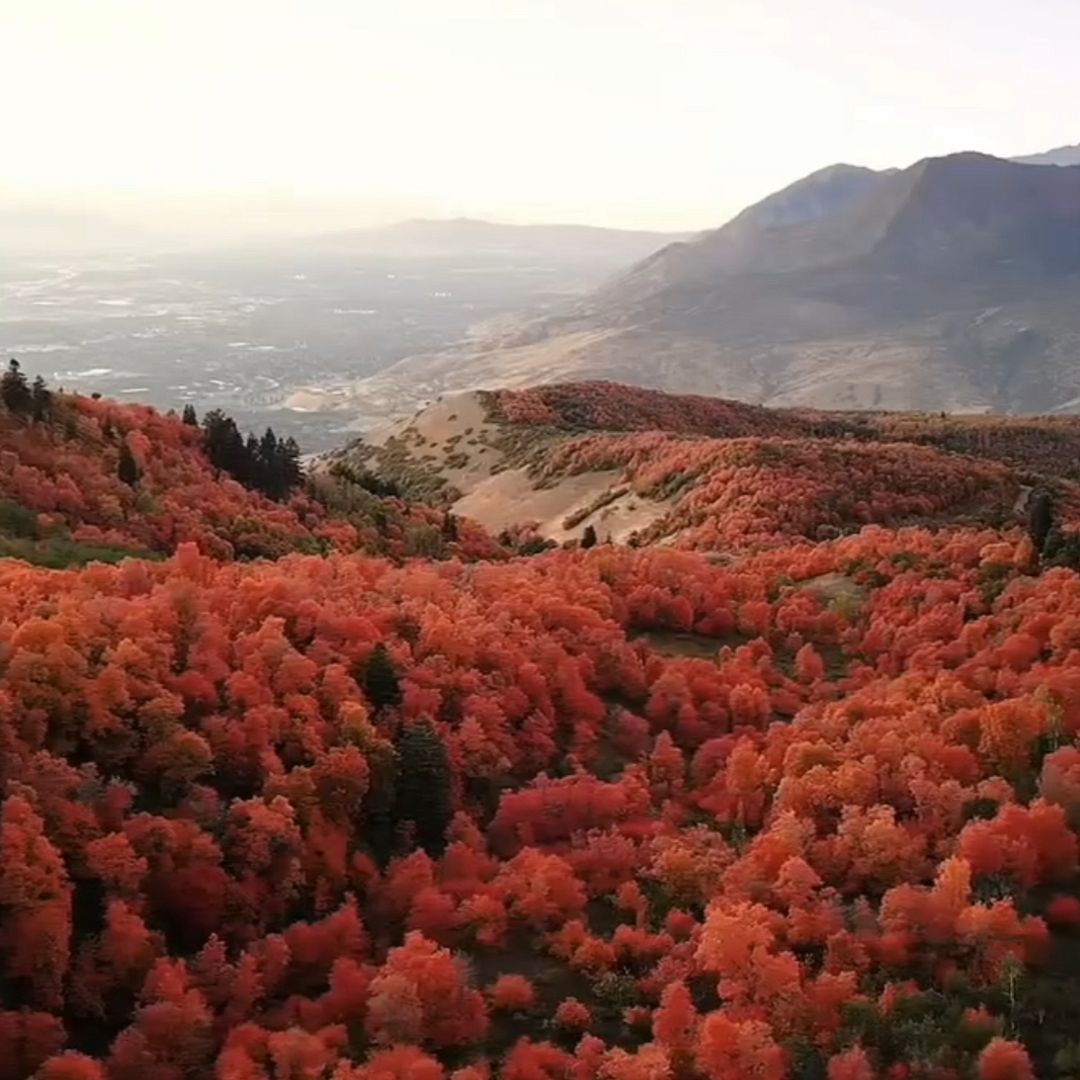 Mountains