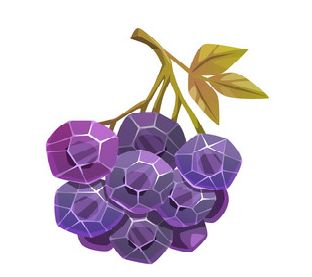 grape