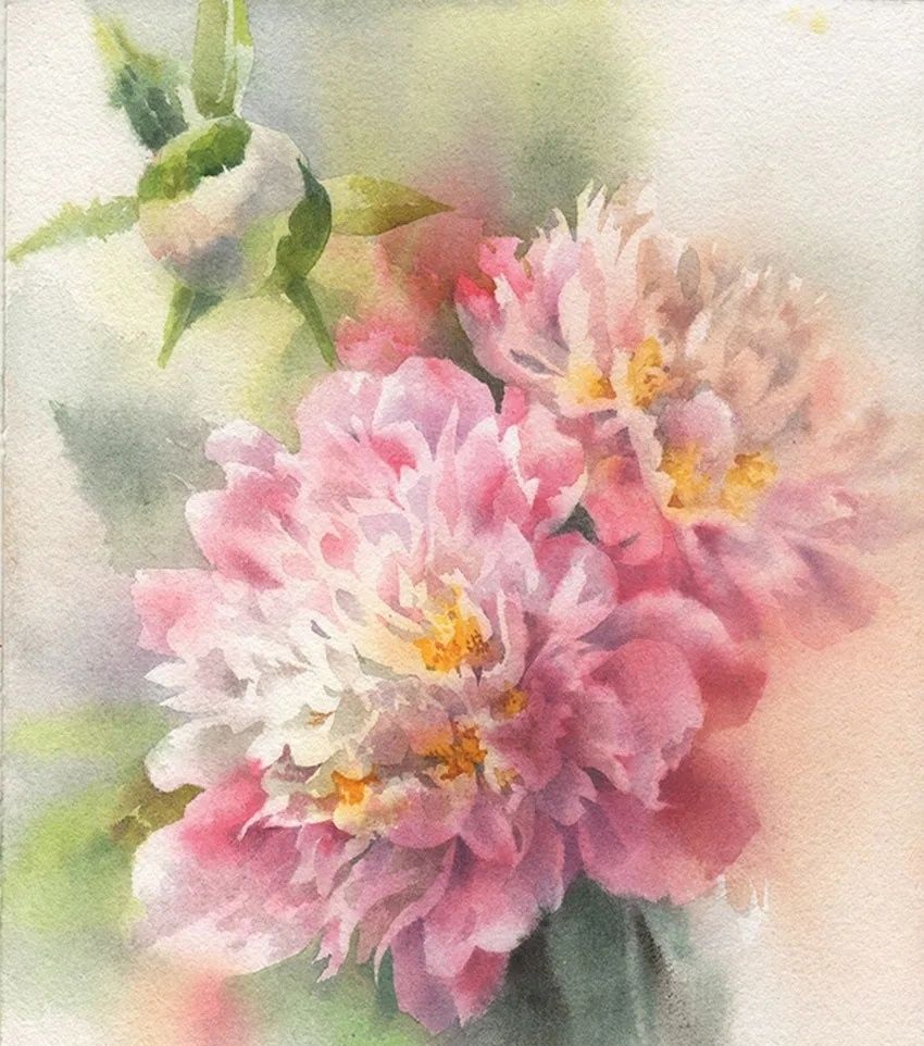 Peony, watercolor