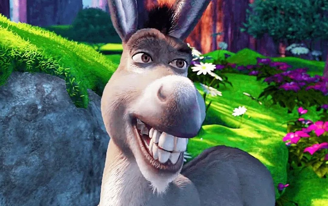 Donkey