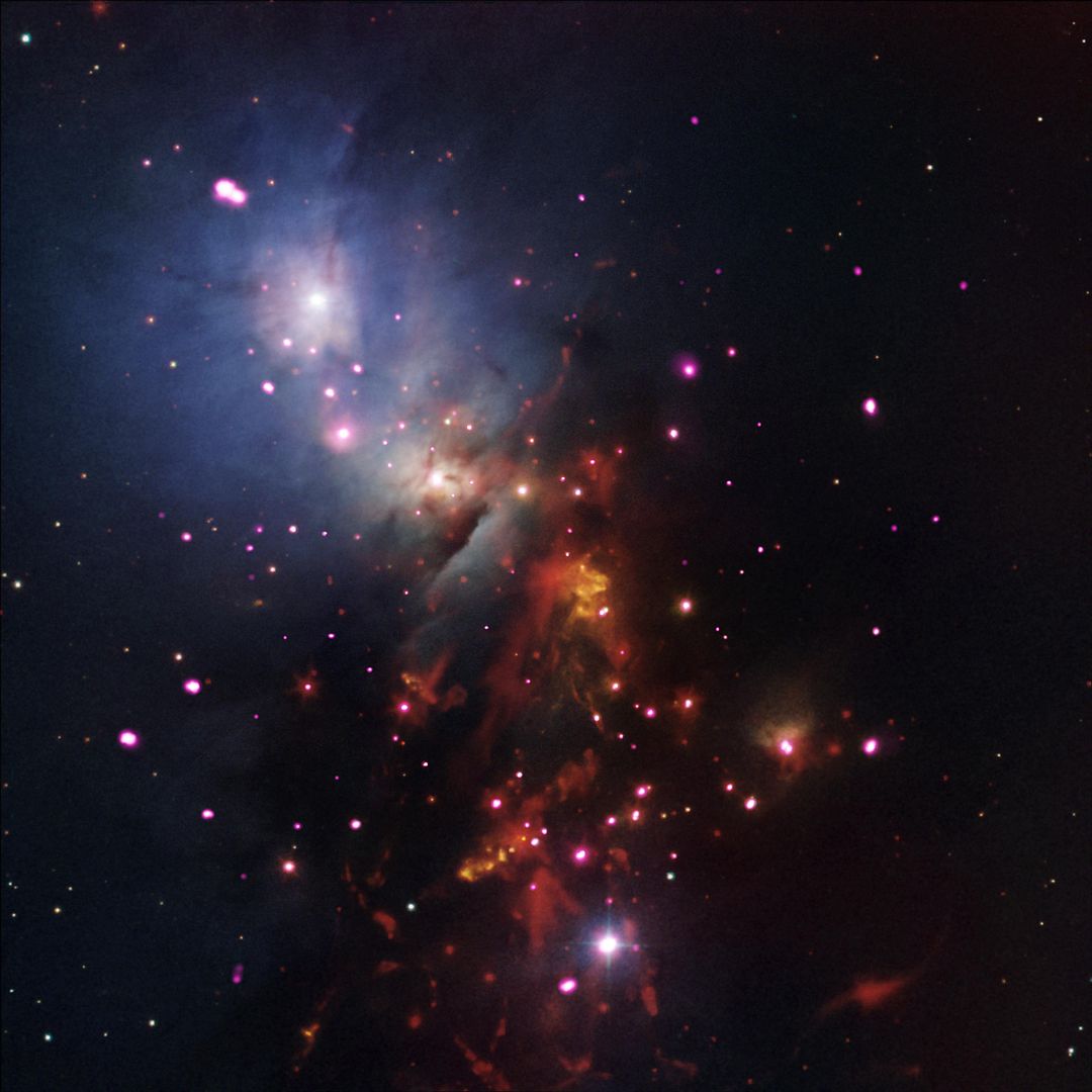 Stellar Cluster NGC 1333 (Chandra, Spitzer, DSS, Mayall)