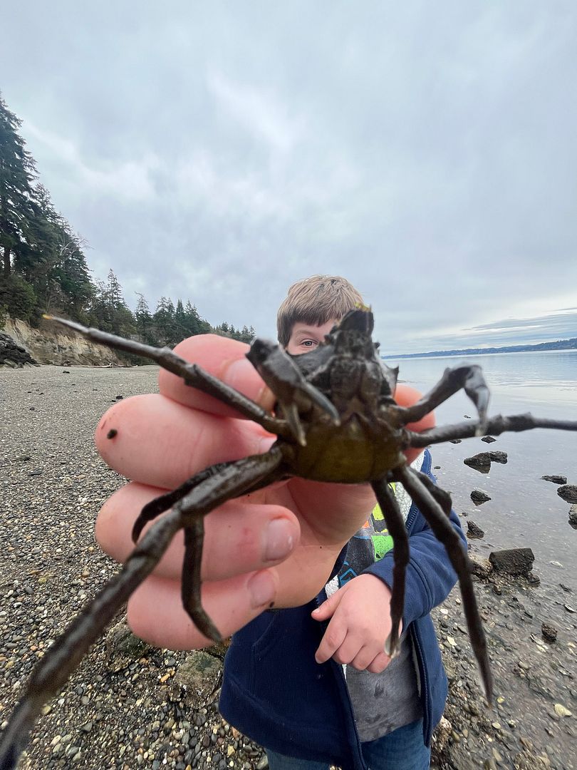 Crabby