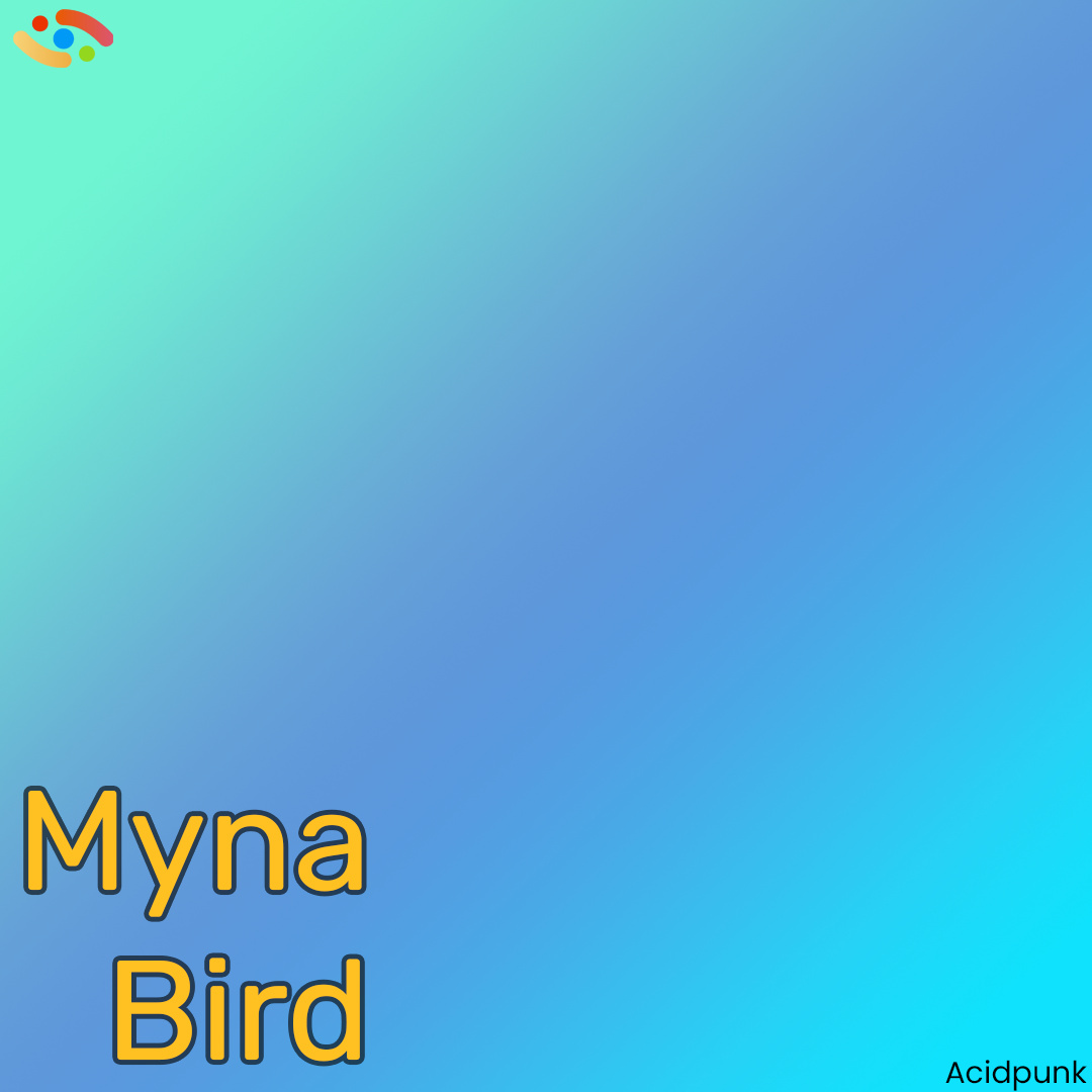 Myna Bird