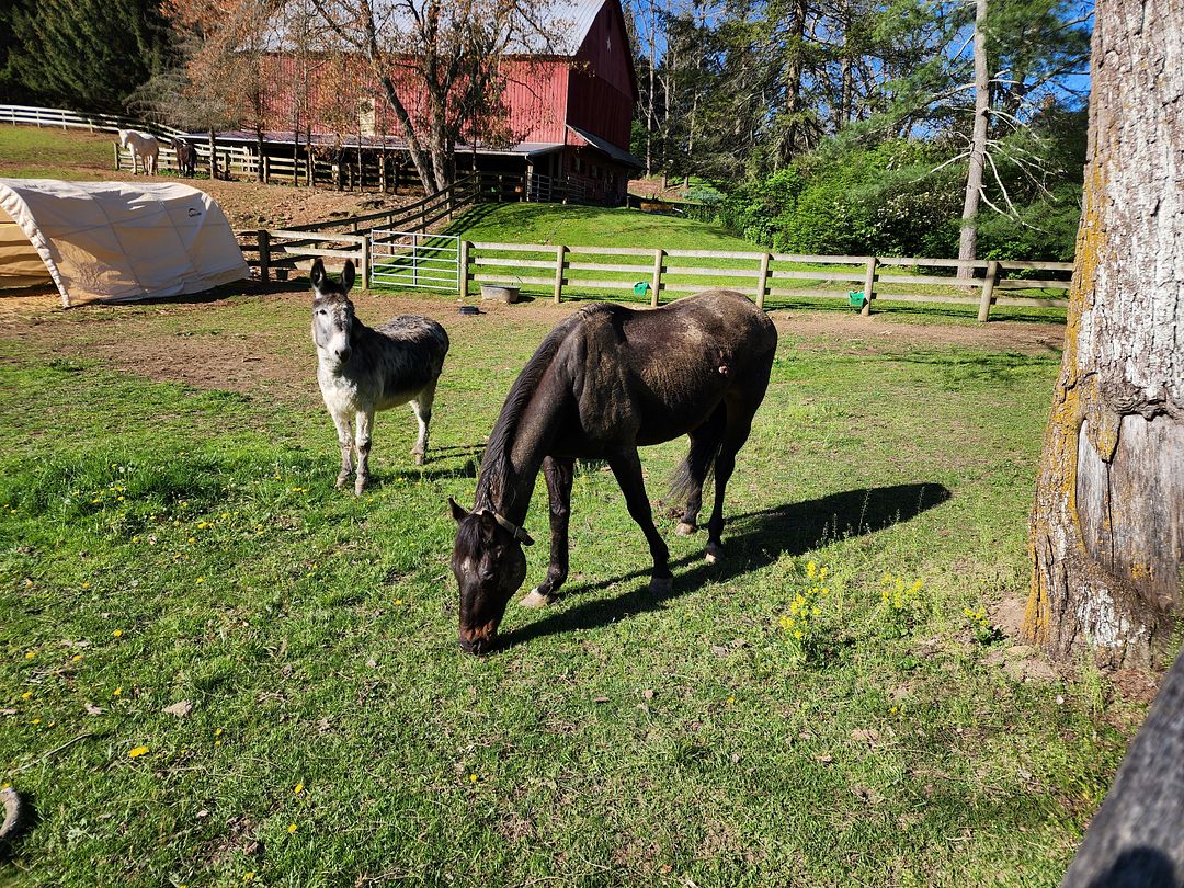 Just Two More Friends