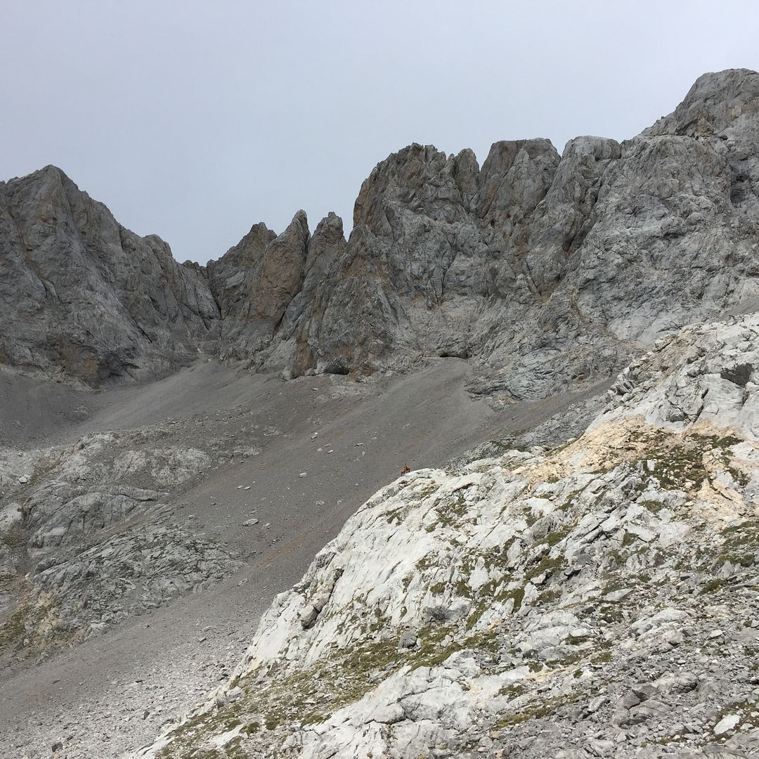 Picos de Europa