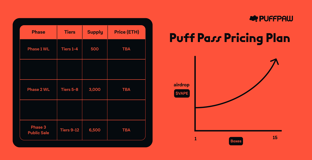 10k Puff Pass Pricing Plan