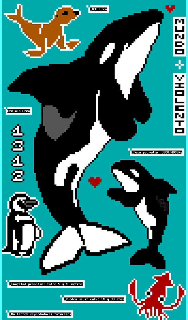 Orca