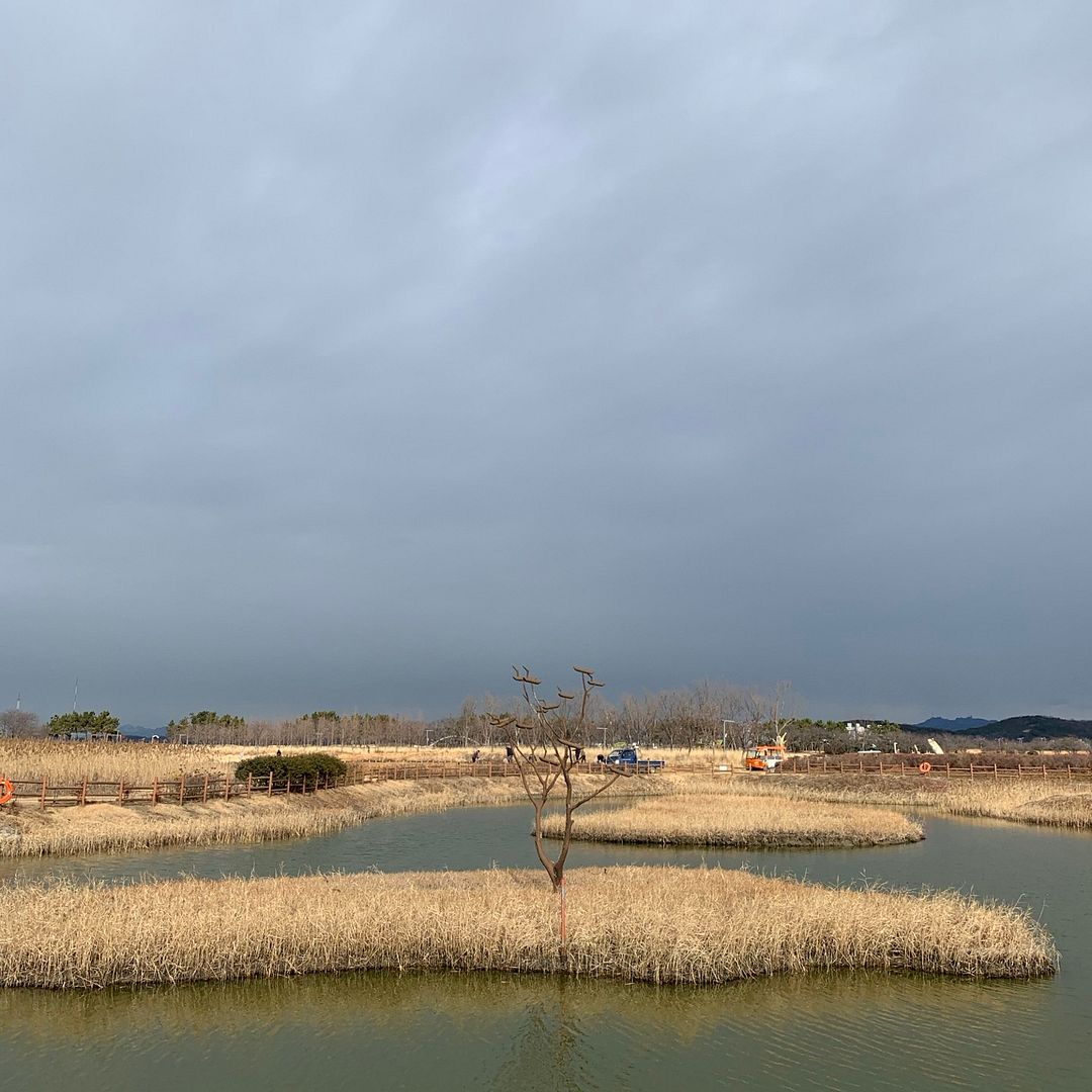 Gaetgol Eco Park at Siheung