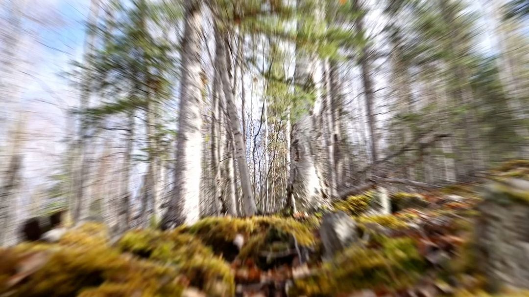 Zooming