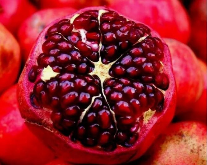 Pomegranate