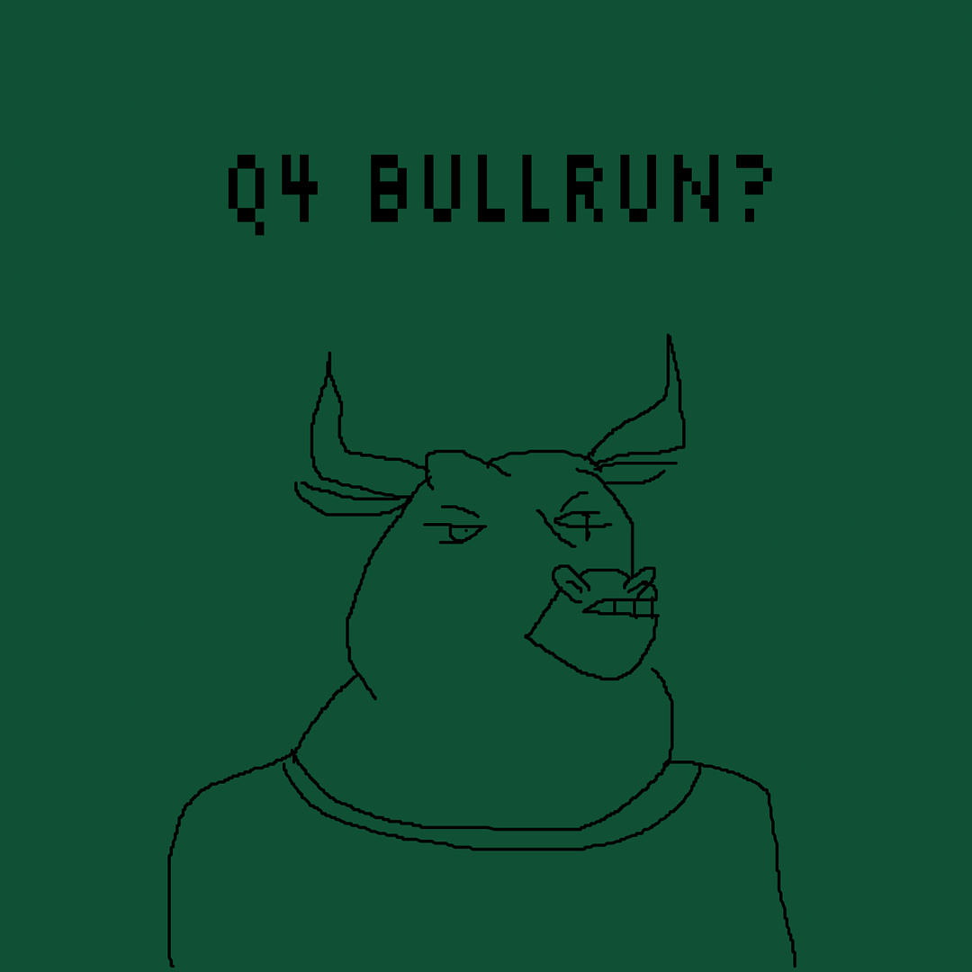 Q4 BULLRUN?