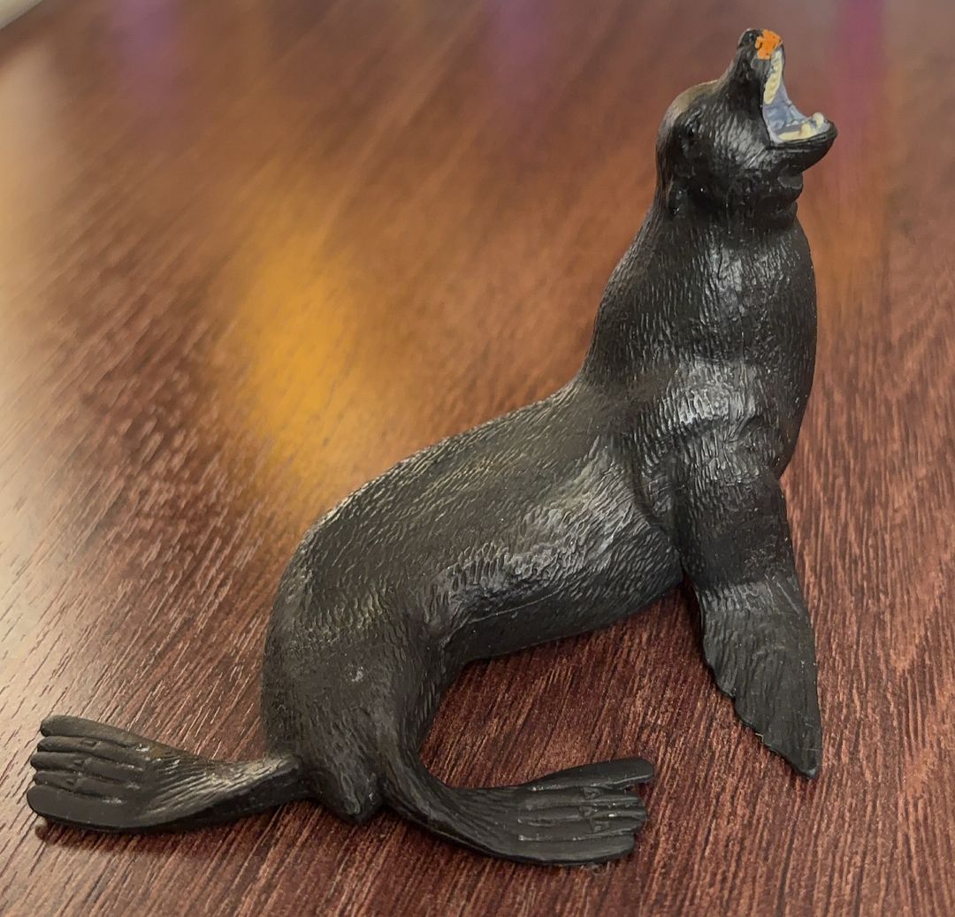 fur seal