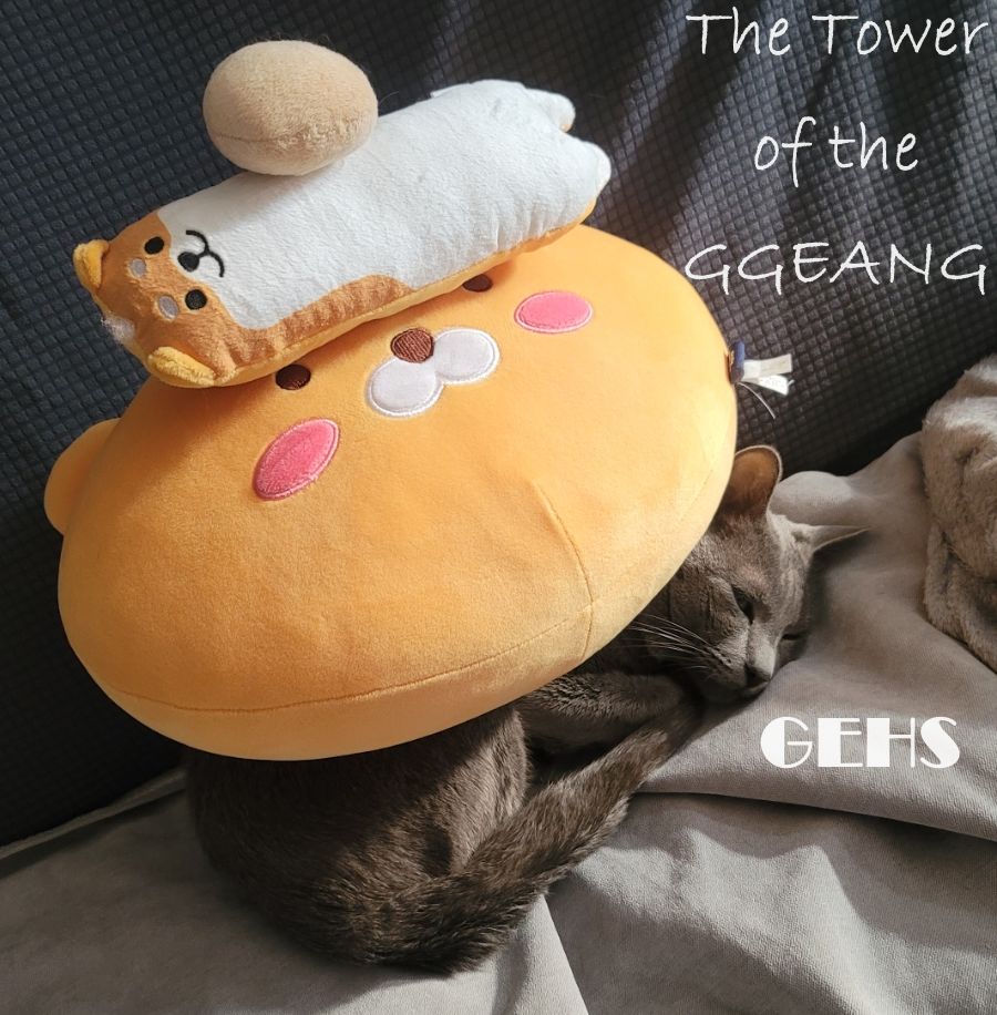 GEHS_The Tower of the GGAENG