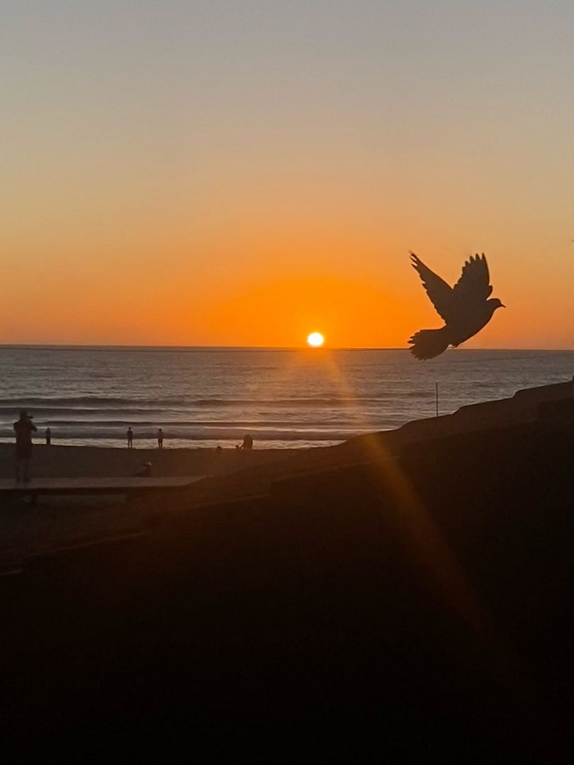 Cazando atardeceres