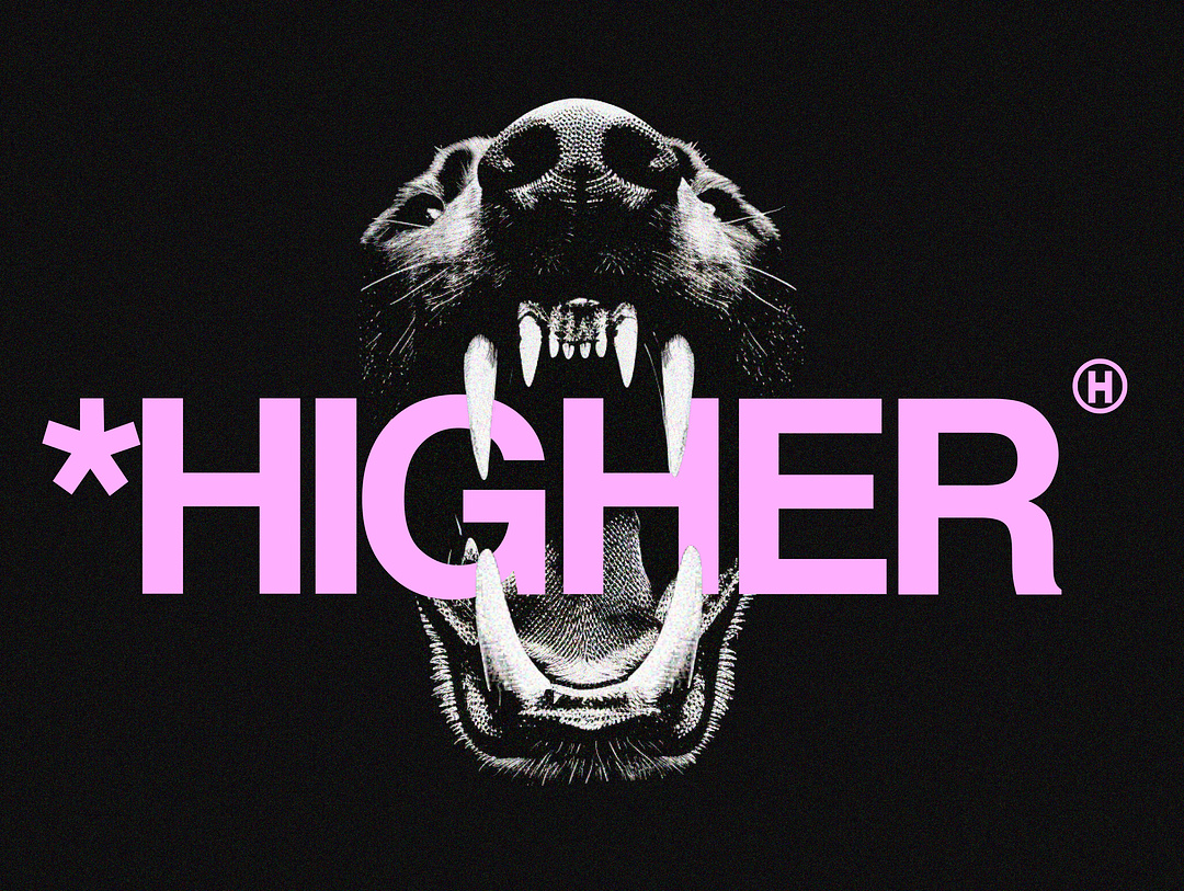 rip higher