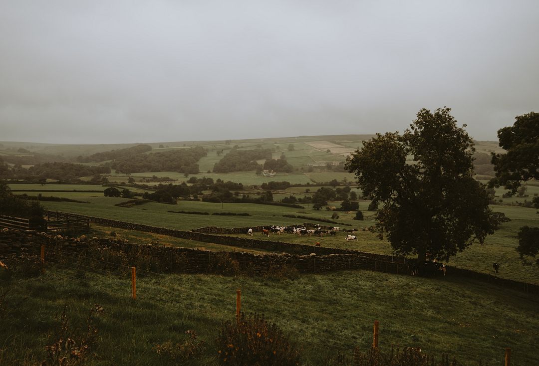 moody days in the countryside