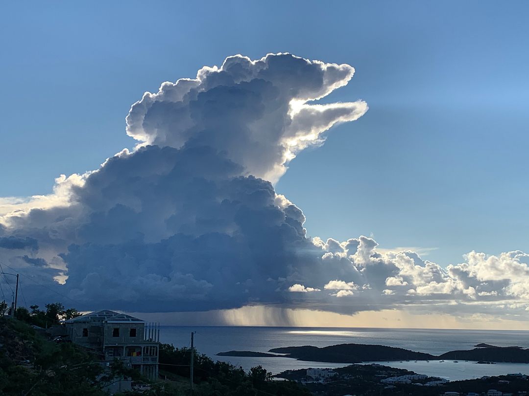 Gator Cloud