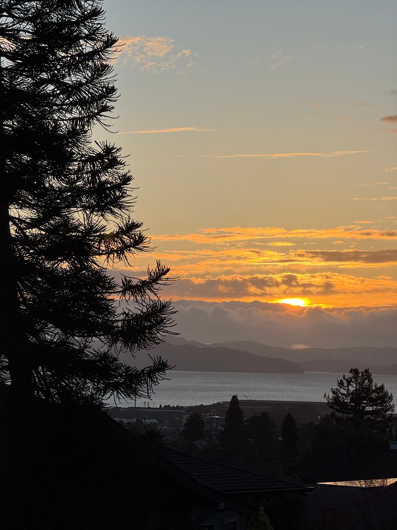 berkeley hills sunset