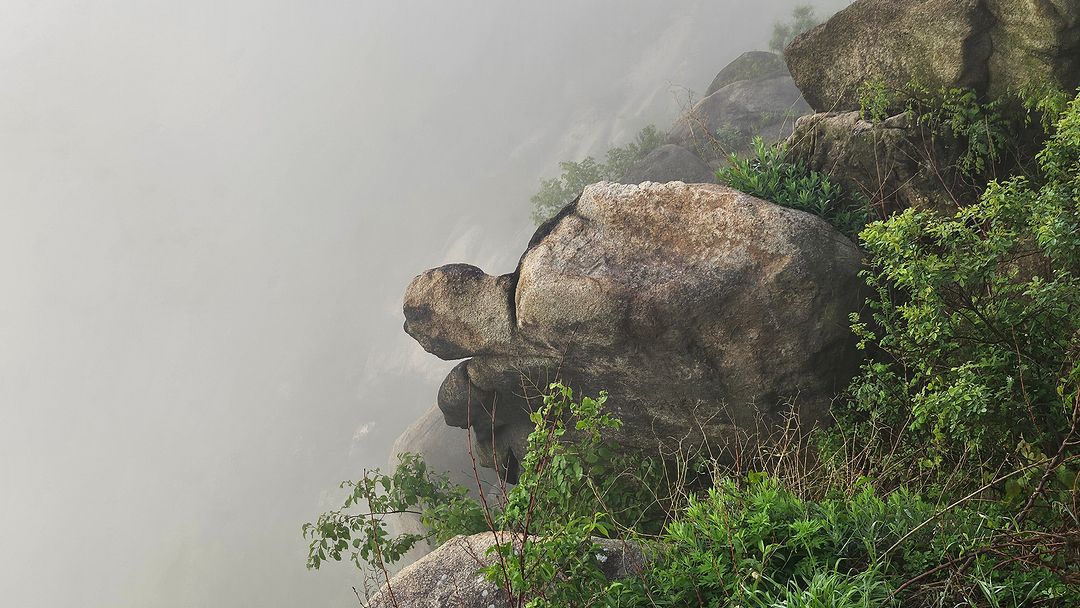 Turtle Rock in the beacon!  240512 Seoul, Korea