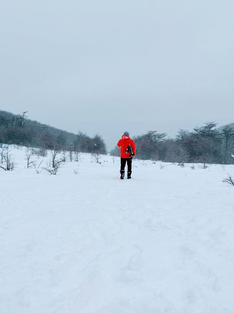 A Journey Through the Snow