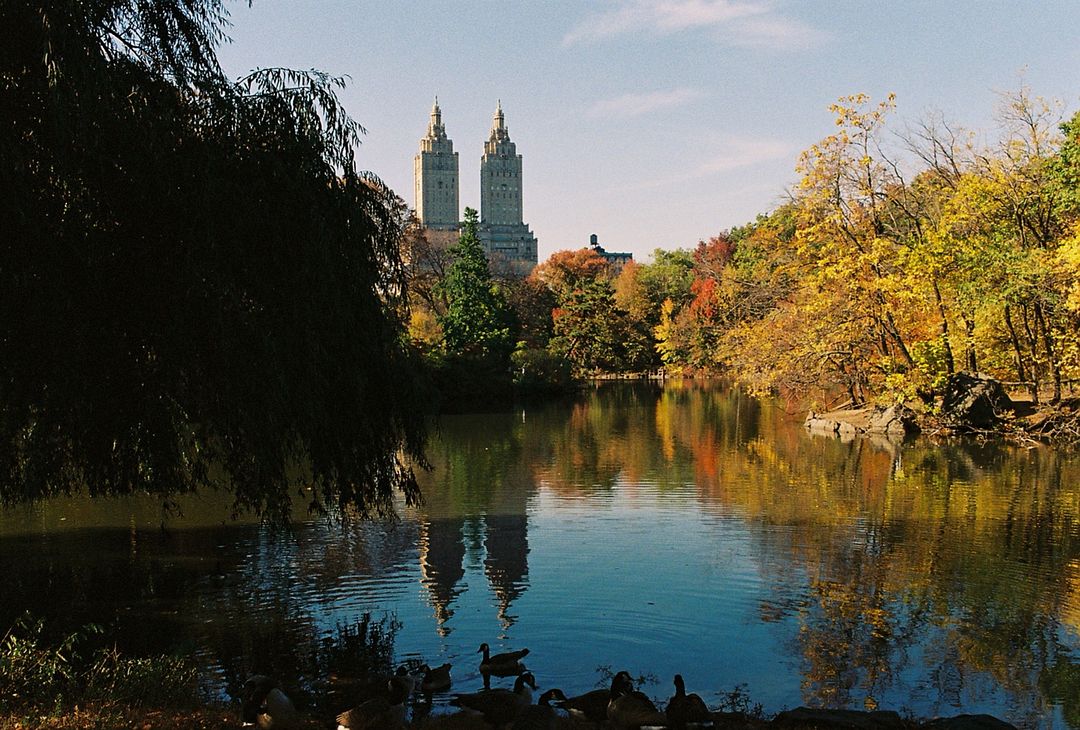 fall in central park