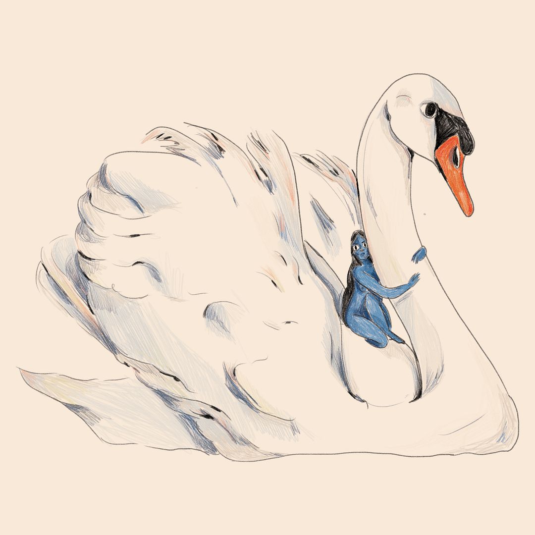 swan