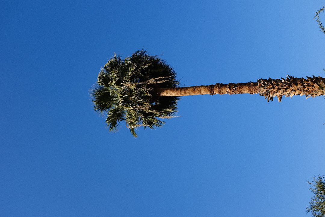 Venice Beach, California