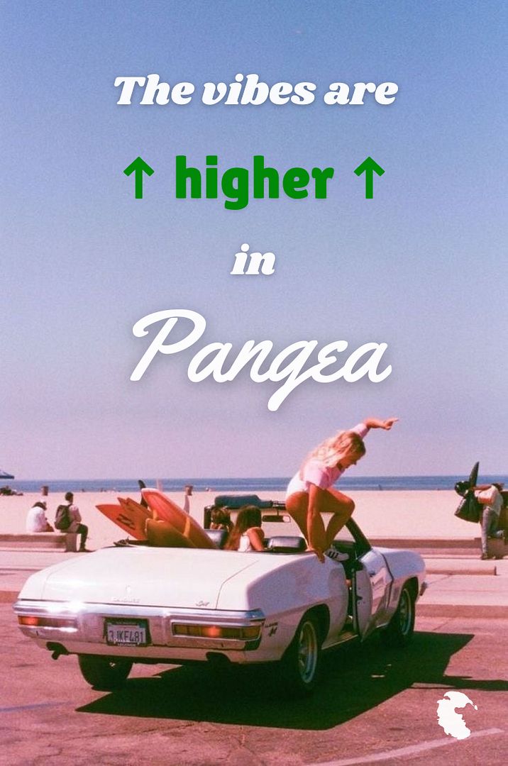 higher x pangea