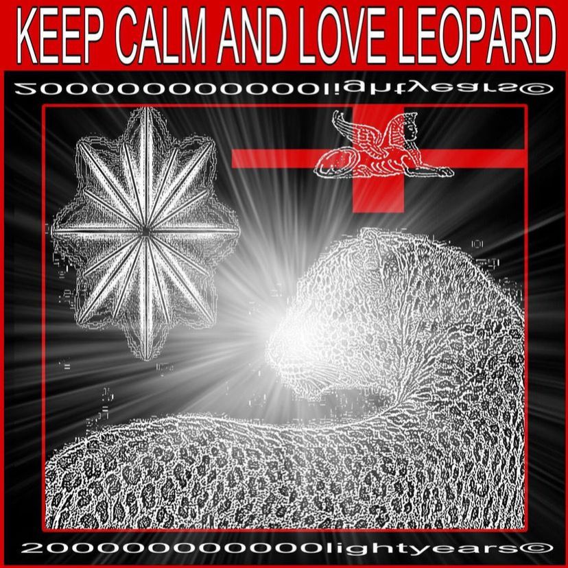 keep calm and love leopard