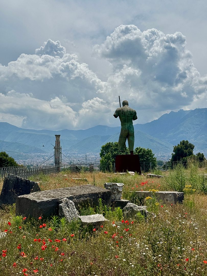 poppies at pompeii