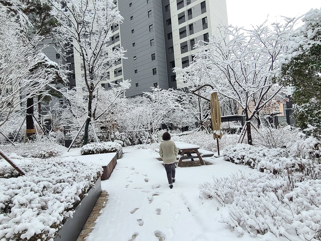 Winter in Korea... And my mom