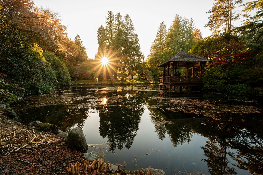 a pond surrounded by trees with a gazebo in the middle