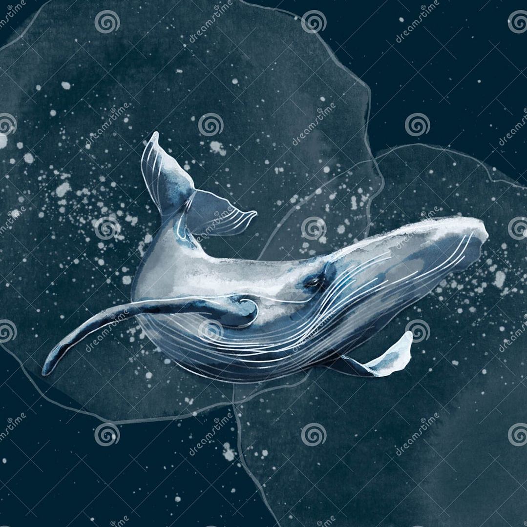 whale