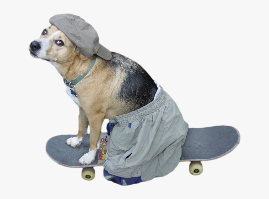 Sk8dog