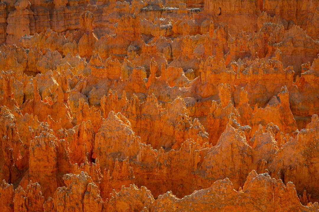 Stunning Hoodoos of Bryce Canyon National Park